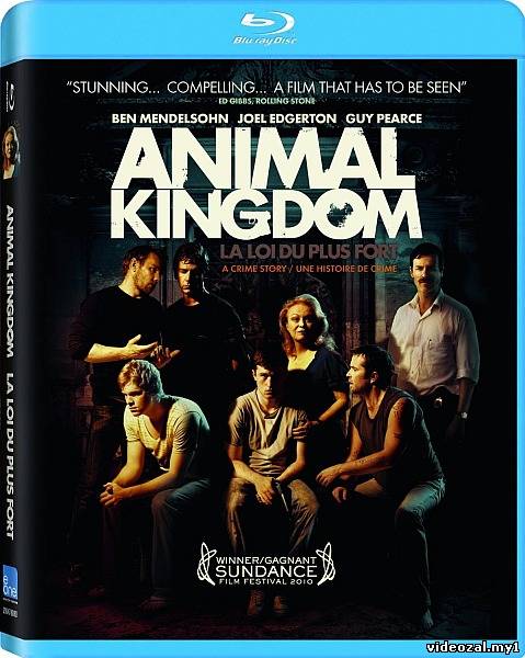 Смотреть фильм онлайн: По волчьим законам / Animal Kingdom (2010)