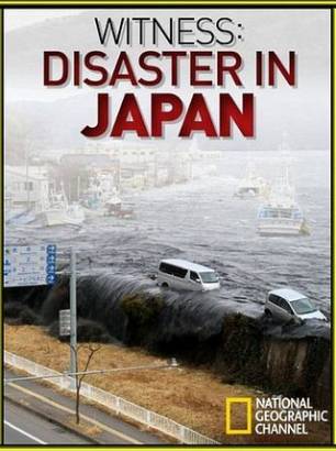 Смотреть фильм онлайн: Катастрофа в Японии: Свидетельства очевидцев (2011)