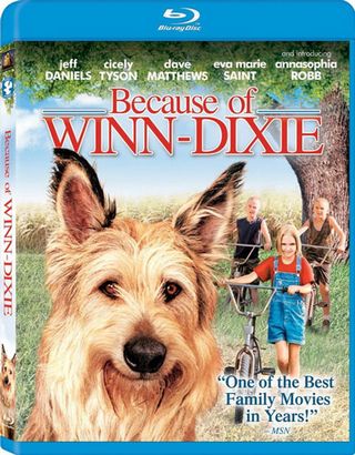 Смотреть фильм онлайн: Благодаря Винн Дикси (2005)